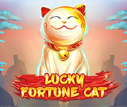 Lucky Fortune Cat RTE